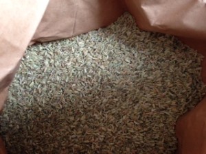 Phyto Fenchel für HP 1